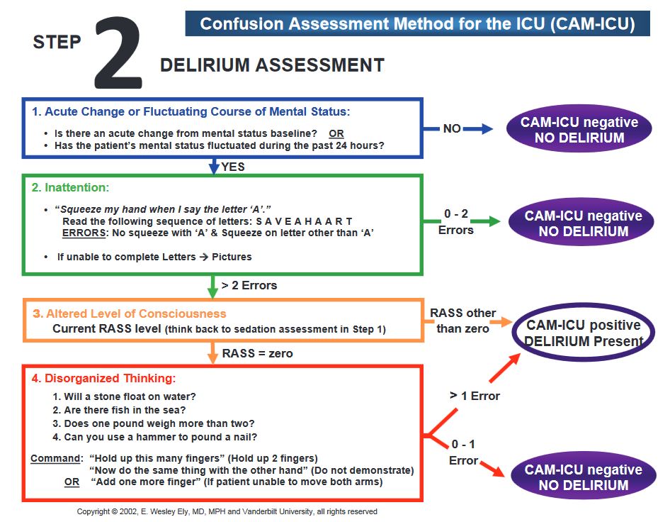 What Is Cam Icu Score Manual For Delirium Assessment And Intervention
